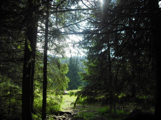 #Tatry #Zakopane