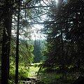 #Tatry #Zakopane