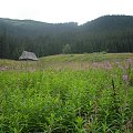 #Tatry #Zakopane