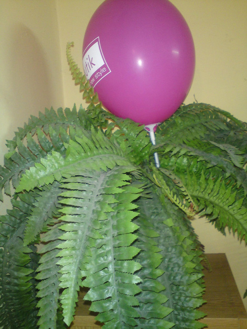 estetyka na piąteczkę