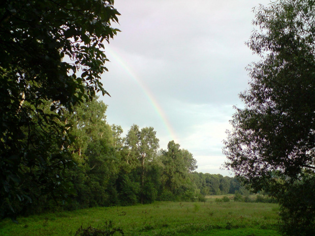 Zdjęcie konkursowe