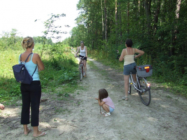 Rowerowy rajd Koła Rowerowego PTTK do pomnika partyzanckiego w lesie Mokre k/ Kurozwęk (8.08.2009 r.) #RajdPTTK #rowery #piknik