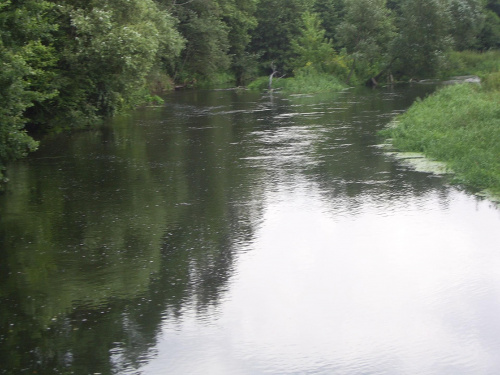 dzieci w Bobrowisku i okolicach sierpien 2009