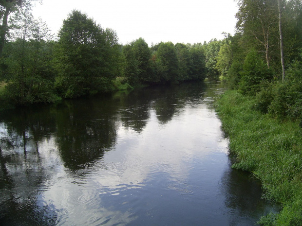 dzieci w Bobrowisku i okolicach sierpien 2009