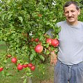 Moja jabłoń