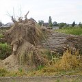 Skutki nawałnicy w Piaskach Wielkopolskich