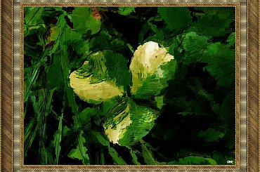 Pomaluj mój świat...moja ulubiona koniczynka, nawet nie czterolistna #koniczyna #namalowane #grafika #obraz