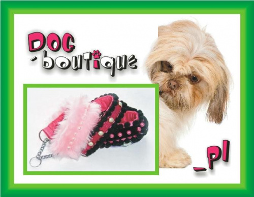 obroże - pojedyncze sztuki - oferta dog-boutique.pl #pies #DlaPsa #obroża #obroże #dog #dogs #collars #CuteCollar