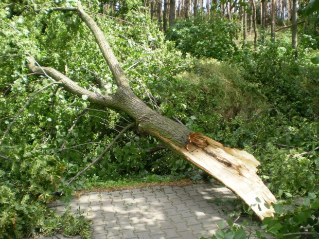 Między Strzelcami Wielkimi a Piaskami