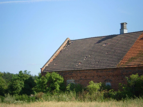 Talary i najbliższe okolice