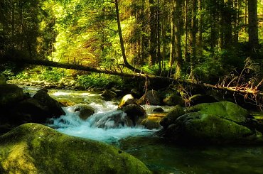 Tatrzanskie widoki:) #tatry #strumyk #evasaltarski