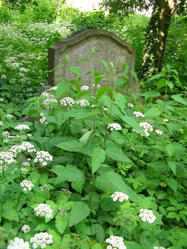 Ostróda (warmińsko-mazurskie) - cmentarz Polska Górka