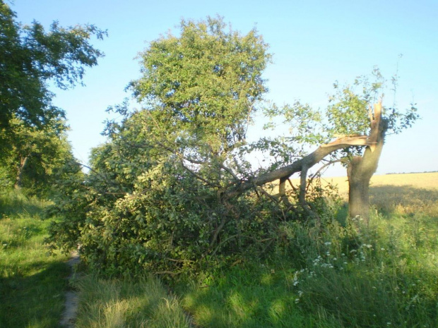 Drzęczewo po nawałnicy