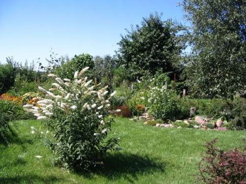 2008 ogród Łucji