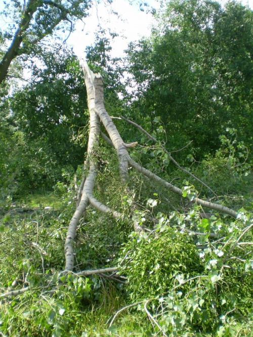 Strzelce Małe i najbliższe okolice po nawałnicy z 23 lipca ...