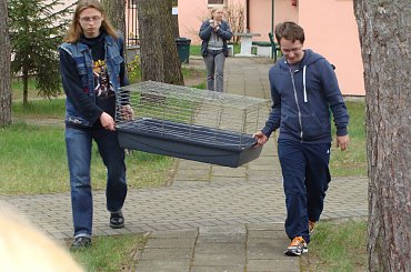 Karpicko 02-05-2013 _ AUKCJA dla freciaków #aukcja #fretka #fretki #Karpicko2013 #licytacja #porterówka #SPF #zlot