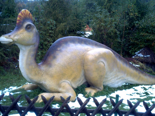 Dinozaur, Jura Park Bałtów ;) #JuraPark #Bałtów #dinozaury