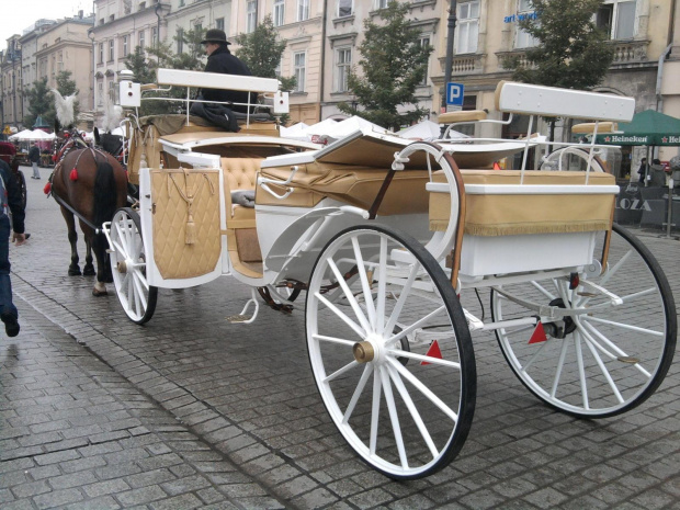 Bryczka Kraków #kraków #dorożka #dorożki #BryczkiKonne #bryka #koń #konie
