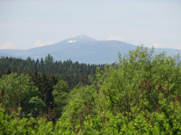 Śnieżka