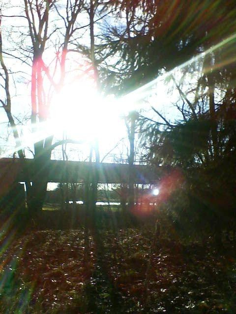 To słonko tak pięknie świeciło że aż się nie mogłam powstrzymać by nie zrobić mu foty :) #słońce #most #przyroda