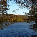 Troche jesiennych fotek z bukowego lasu nad jez. Otomińskim #jesień #las #jezioro #Otomin