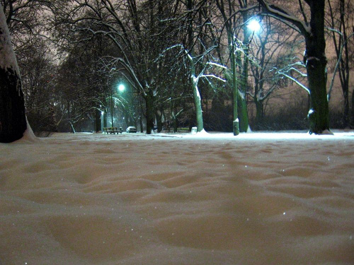 Skry na sniegu #Warszawa #ParkSkaryszewski #noc #zima #śnieg