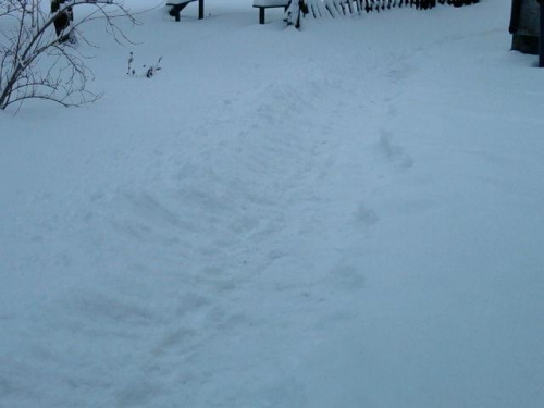 Pokrywa śnieżna wzrosła do 23cm
11.01.2009