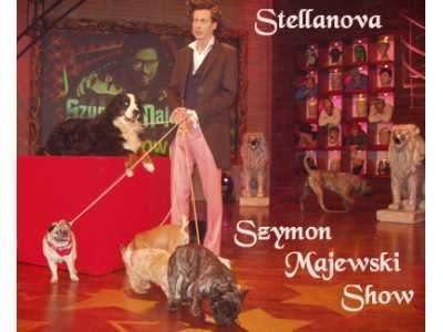 #mops #mopsy #ReproduktorMops #pug #stellanova #SzymonMajewski #MajewskiShow