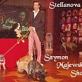 #mops #mopsy #ReproduktorMops #pug #stellanova #SzymonMajewski #MajewskiShow