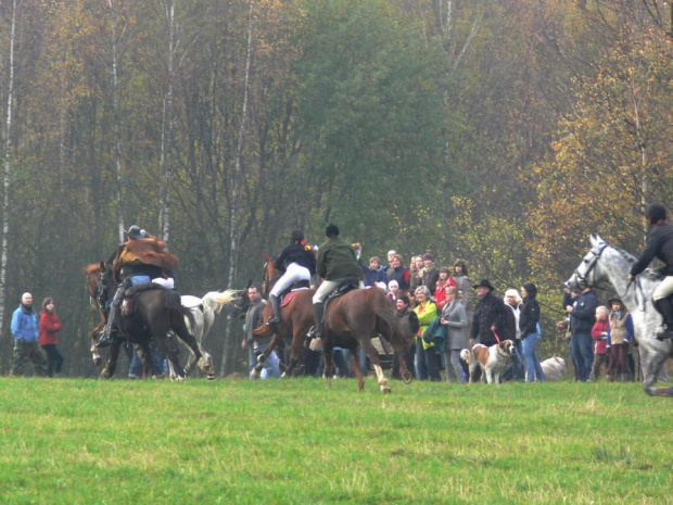 pogoń za lisem