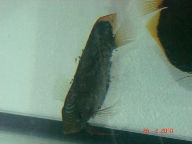 27.02.2010