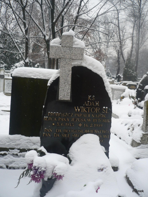 Mater dolorosa #cmentarz #Bytom #Śląsk