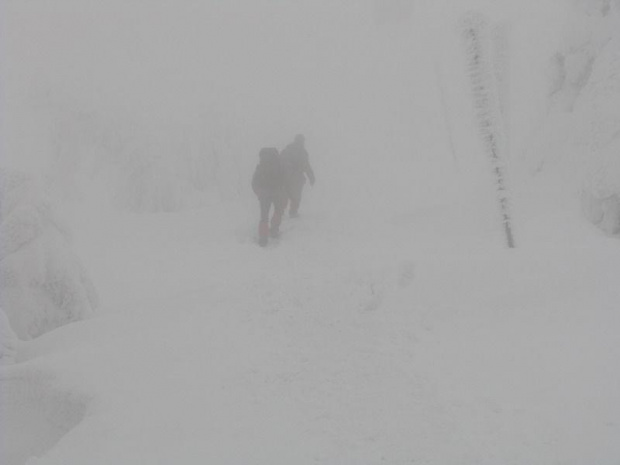 W drodze do schroniska Pod Łabskim Szczytem #Karkonosze #góry #zima #śnieg
