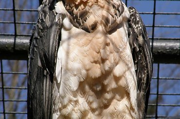 ogród zoologiczny w Libercu #zoo #Liberec #czechy #zwierzęta