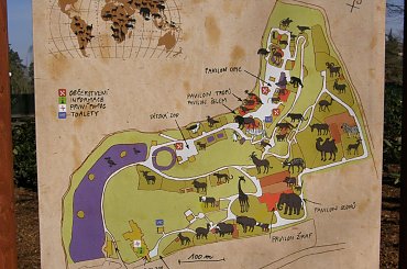 ogród zoologiczny w Libercu #zoo #Liberec #czechy #zwierzęta