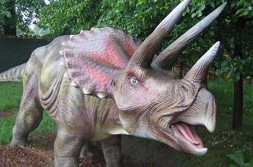 Triceratops mieszkaniec Dino Parku w Rybniku #ChataZPiernika #ChatkaZPiernika #DomNaKurzejNodze #Pinokio #CzerwonyKapturek #Czarownica #BabaJaga #JaśIMałgosia #MurzynekBambo #TomcioPaluszek #Rzepka #SmokWawelski #SmoczaJama #wypoczynek #Dinozaury