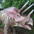 Triceratops mieszkaniec Dino Parku w Rybniku #ChataZPiernika #ChatkaZPiernika #DomNaKurzejNodze #Pinokio #CzerwonyKapturek #Czarownica #BabaJaga #JaśIMałgosia #MurzynekBambo #TomcioPaluszek #Rzepka #SmokWawelski #SmoczaJama #wypoczynek #Dinozaury