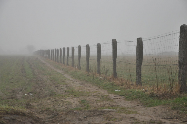 A gdzieś tam na końcu... #pola #płoty #mgła #granice