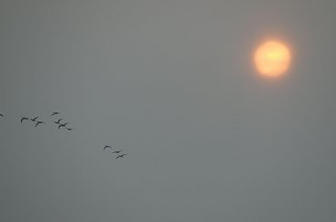 Tuż przed śnieżycą... #śnieżyca #zima #Racibórz #śnieg #lód #mróz #Śląskie