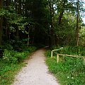 W drodze nad jezioro