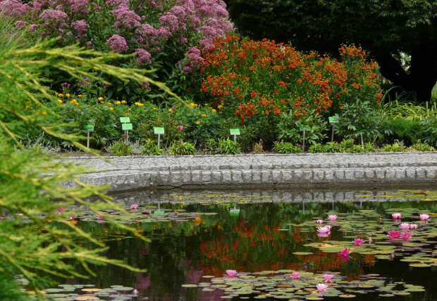 Ogród botaniczny - Wrocław