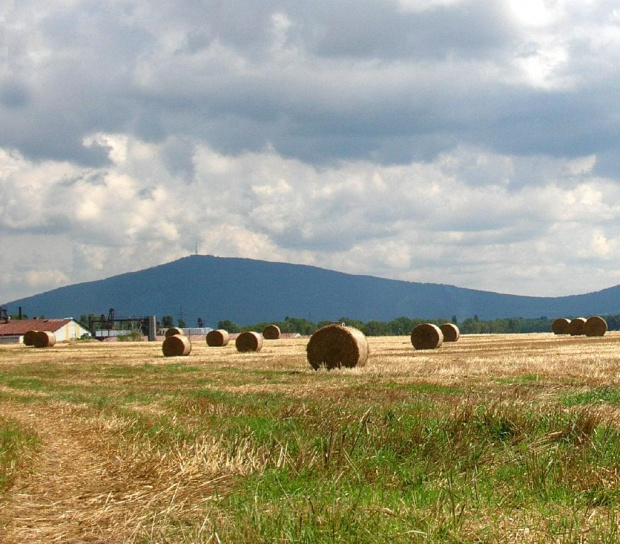 Żniwa.W tle góra Ślęza :)