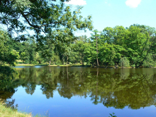 park zamkowy #ZamekRaduń