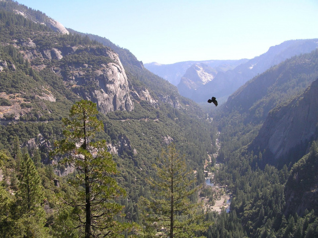 Park Yosemite