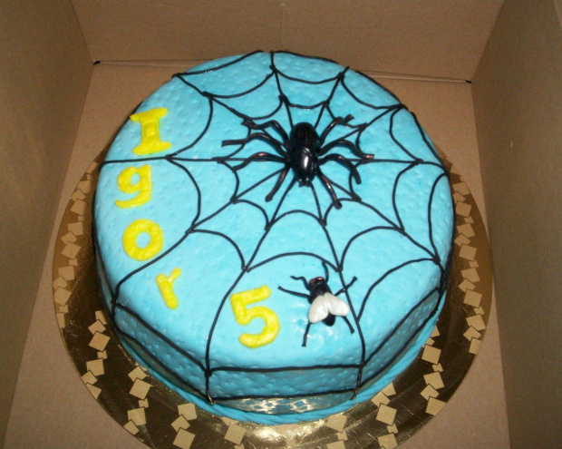 #TortZPająkiem #urodzinowy #mucha #pająk #cake #spider #fly