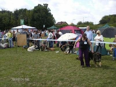 #leonberger #AptekaNatury