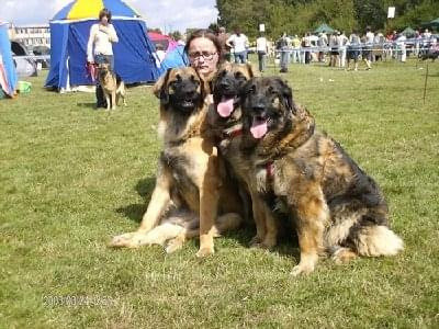 #leonberger #AptekaNatury