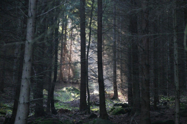 Wycieczka na Sokoliki z Tomkiem , Danielą i Marcinem