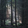 Wycieczka na Sokoliki z Tomkiem , Danielą i Marcinem