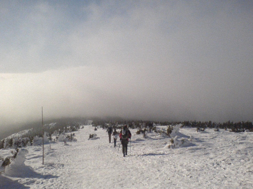 Śnieżnik, Schronisko #ŚnieżnikKłodzkiSchroniskoSudety